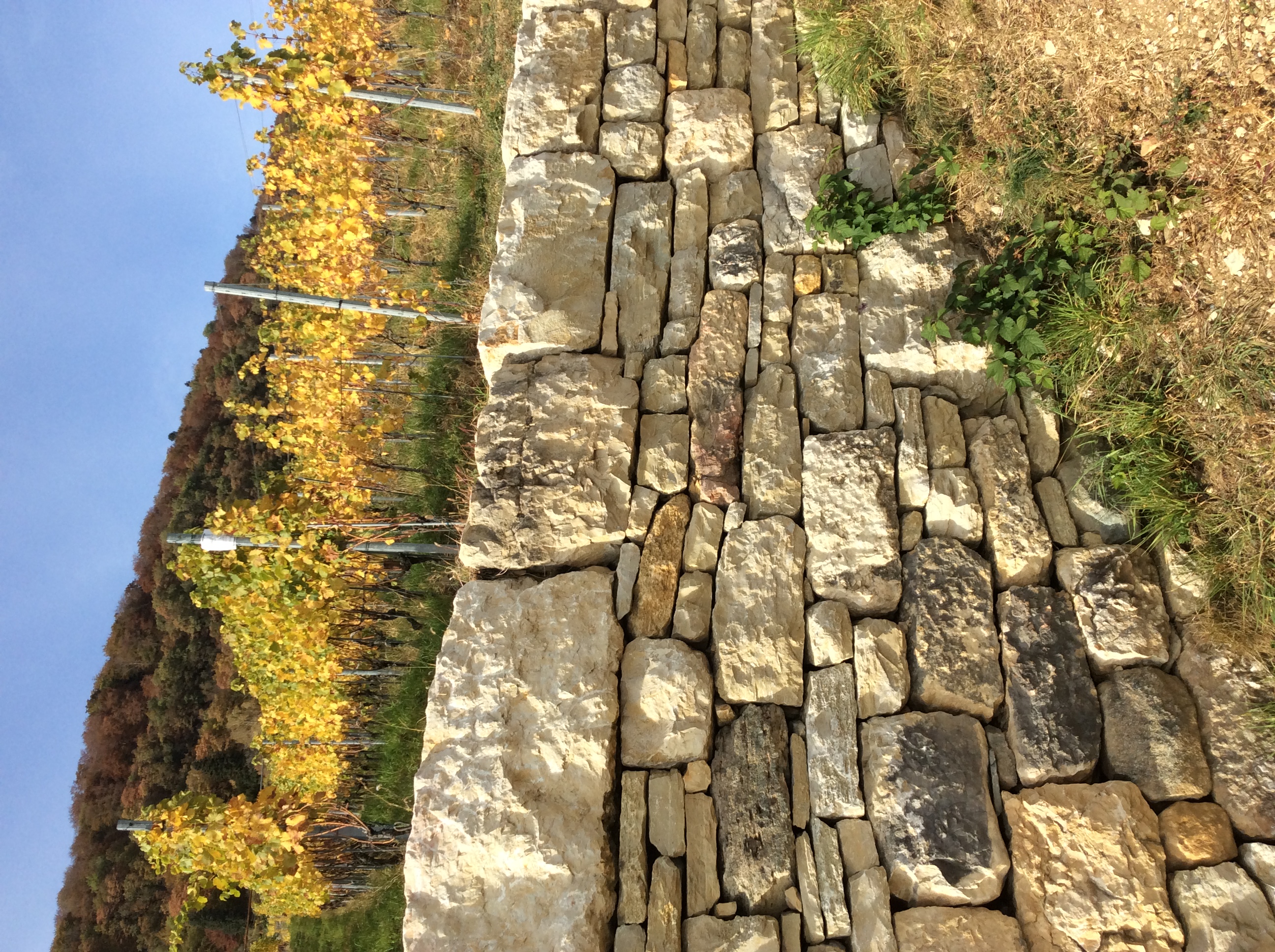 Trockenmauer in Ligerz